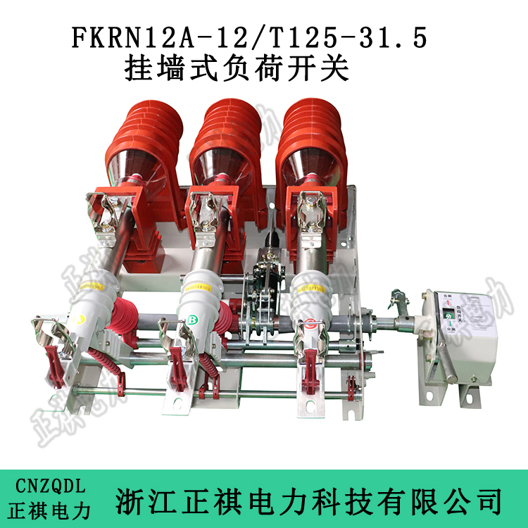 FKRN12A-12/T125-31.5掛墻式負(fù)荷開(kāi)關(guān)